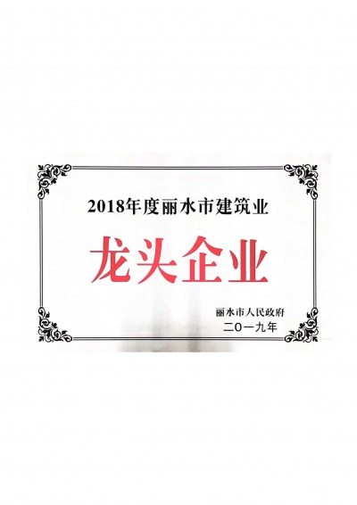 2018年度丽水市建筑业龙头企业